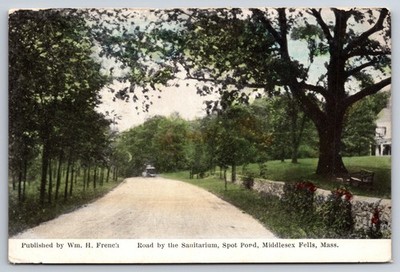 Road by the Sanitarium Spot Pond Middlesex Fells Massachusetts MA c1910 Postcard