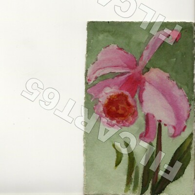 A7965 FLOWERS 1900 PINK ORCHID HAND PAINTED ORCHIDOL