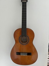 Valencia Cg 160 ½ Acoustic 6 String Guitar