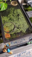 Magnetic Aquarium Lid Cover Fish Tank Mesh Net Anti Jumping Screen Top Protector