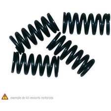 Clutch Spring Kit for: Minarelli APRILIA RS, RIEJU RR, RS1, Yam. TZR 50 97-05 NE