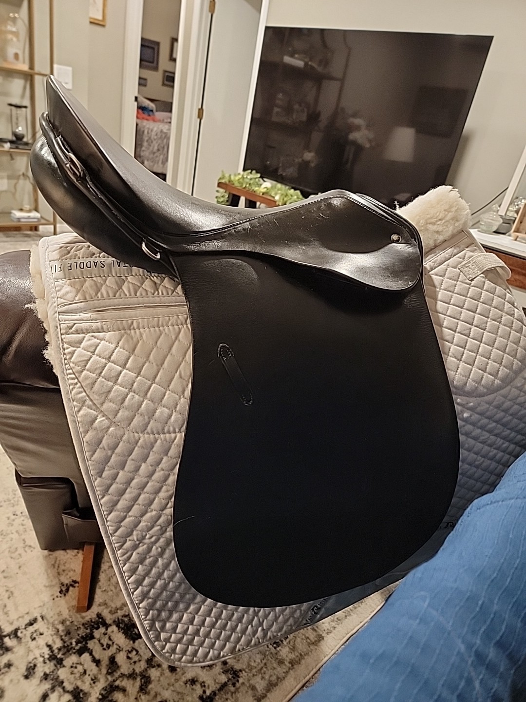 17” Black Passier PS Baum VSD Dressage Saddle Medium tree short billets Longflap