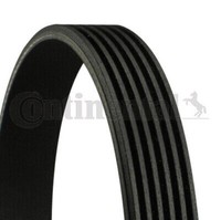 6PK1105 Continental Ctam Riemen Poly-V FüR Alfa Romeo, Fiat, Honda, Lancia,