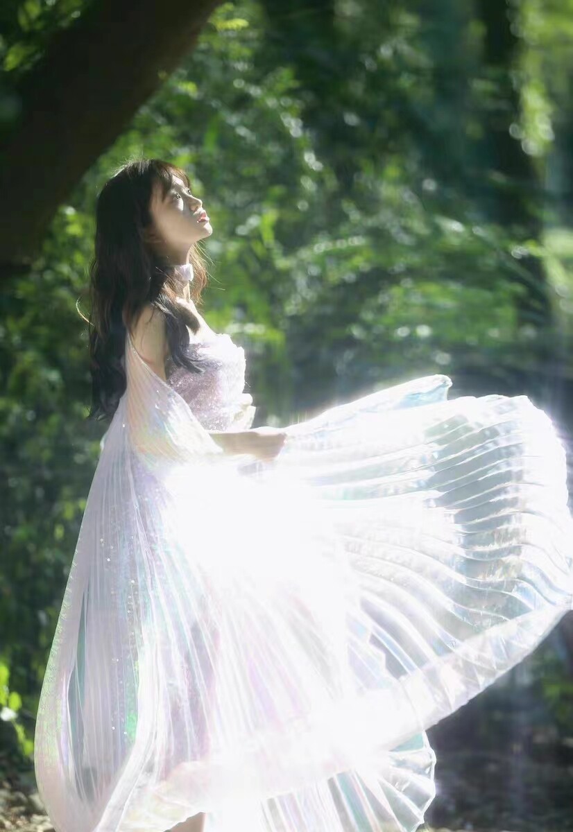 Fairy Wings Clear Dreamy Isis Wings With Sticks Adult Belly Dance Costume  Props | eBay