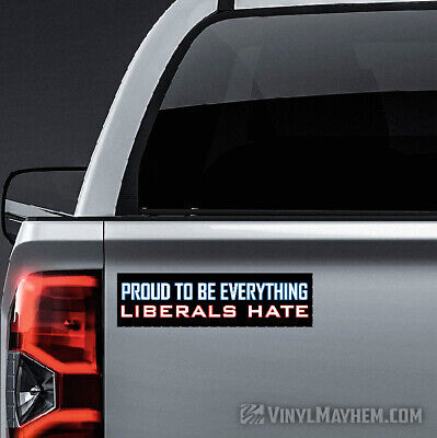 Proud to be Everything Liberals Hate Car Window Decal Bumper Sticker US Seller