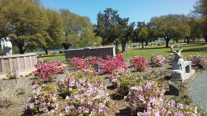 Moved to Dallas, No Longer Need Shreveport Plots - Изображение 2 из 3