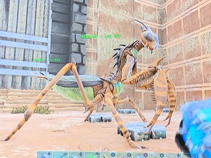 Ark Survival Evolved Summer Bash Camo Mantis Pve Xbox One Unleveled Ebay