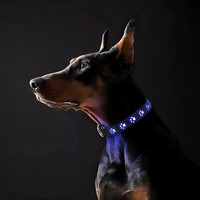 Leuchthalsband Hund Led Usb Aufladbar Verstellbar 3 Lichtmodi Blau M 15,7-19,7