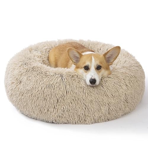 Plush Calming Donut Dog Bed 30x30 Beige for Small & Medium Dogs
