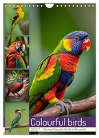 Colourful Birds (Wall Calendar 2027 DIN A4 Portrait), Calvendo 12 Month Wall Cal