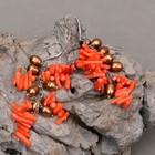 Foto 8 di 8