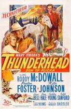 Thunderhead poster SON OF FLICKA Rita Johnson Preston Foster - 1945 Old Photo