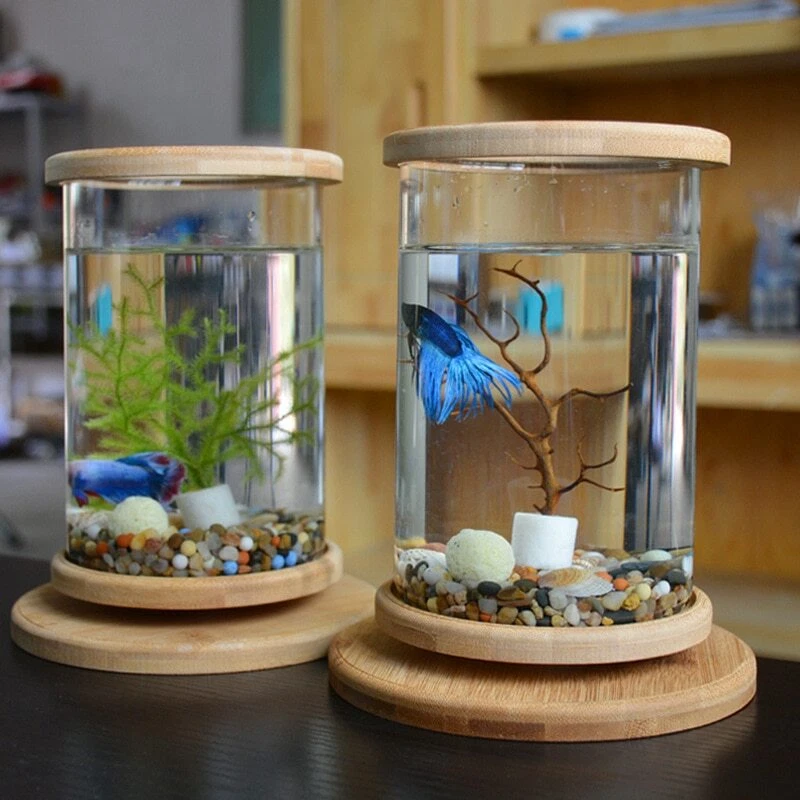 Bamboo Base Fish Tank Aquarium Accessories Mini Fish Tank Home Decoration  Glass