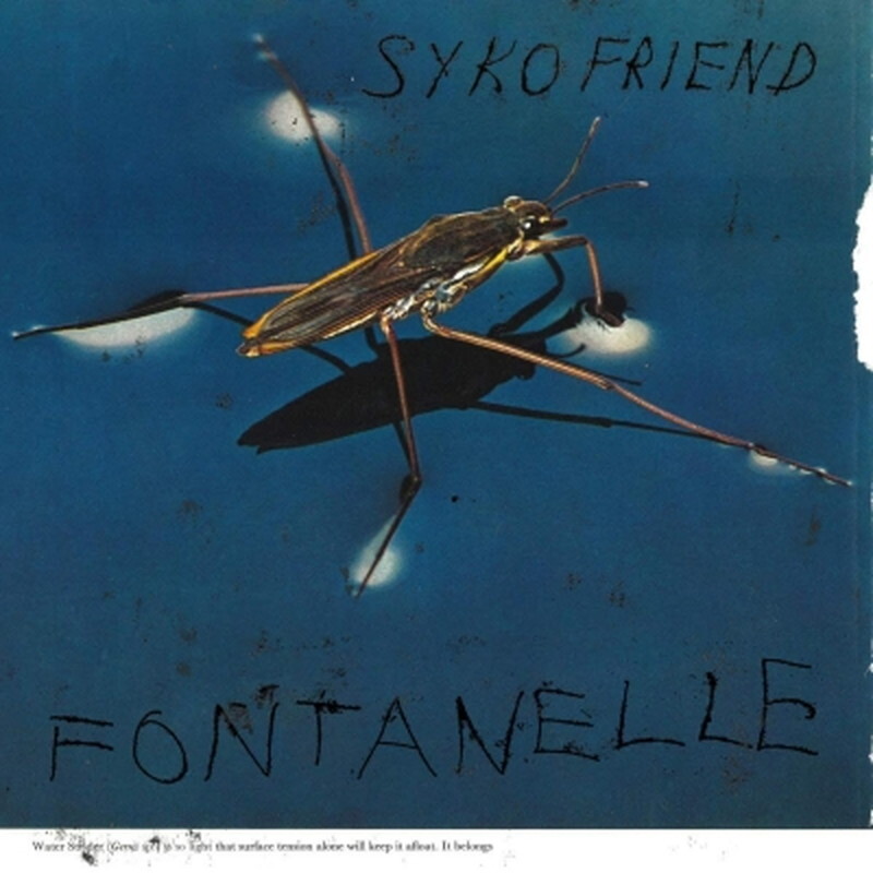 Syko Friend/Питьевые фонтанчики PPM062LP New LP