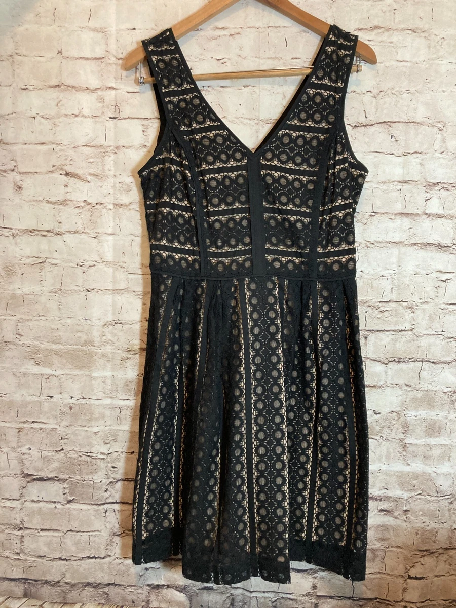 LOFT Lace Dresses for Women for sale | eBay LOFT Lace Dresses for Women for sale | eBay