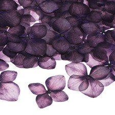60er-Pack Trockenblumen f&uuml;r Harz, Basteln/DIY Dunkellila