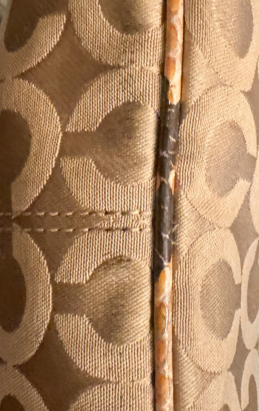 Coach Python Snakeskin Embossed Strap & Lined Mon… - image 8