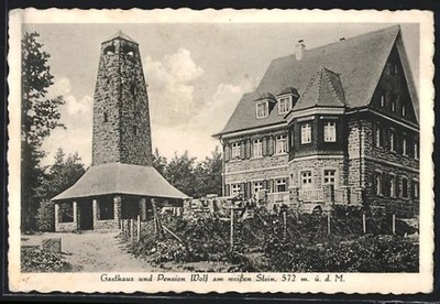 Heidelberg, Postcard, Guest House and Pension Wolf am Weiss Stein 