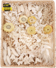Natural Dried Flower Set, Bulk Dried Flowers with Stems, Dried Daisies, Dried Ra
