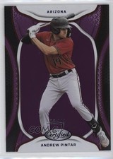 2023 Panini Chronicles Certified Purple 3/49 Andrew Pintar #21 fm0
