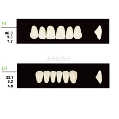 Dental Synthetic Polymer Resin False Teeth Denture 112PCS/Pack T4 L4 30 Shade A3