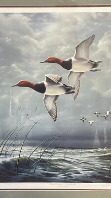絵画 James Hautman Fowl Weather - Canvasbacks James Hautman,”Fowl Weather - Canvasbacks” Excellent 422/5000