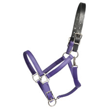 HORSE SIZE- READY MADE - Purple TURNOUT HALTER Made from BETA BIOTHANE