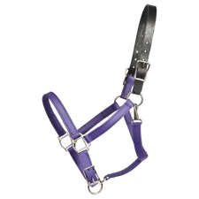 HORSE SIZE- READY MADE - Purple TURNOUT HALTER Made from BETA BIOTHANE