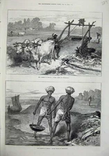 Old Antique Print Famine Bengal Cows Irrigation Native Men 1874 River Art 19th