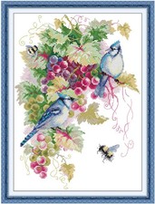 Cross Stitch Kits Stamped Full Range of Embroidery Starter Kits for Adults Be...