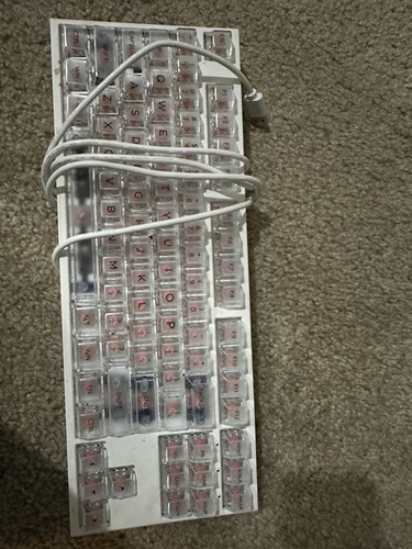Ducky One 2 TKL White Keyboard With Clear Keycaps Cherry MX Silent Reds