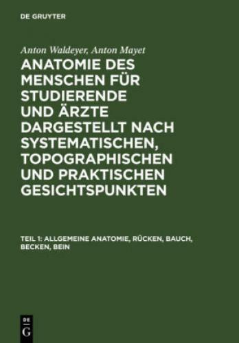 Allgemeine Anatomie, Rücken, Bauch, Becken, Bein 6749