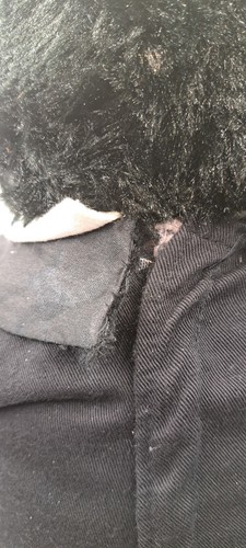 Happy Feet 2 Build A Bear Penguin With Wedding Suit Retired 2011 - Picture 7 of 11
