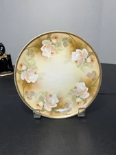 RS Germany Vintage 1920 To 1944 Hand-Painted Pastel  Roses Cabinet Plate 7.5”