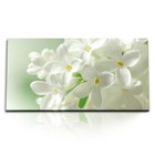 120x80cm Kunstdruck Bilder Weiße Blüten Blumen Frühling Natur Hell