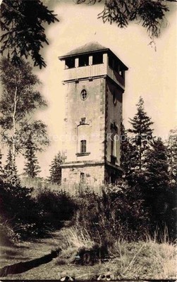 Bieleboh Beiersdorf Goerlitz Saxony Bieleboh lookout tower forest coniferous trees Ber