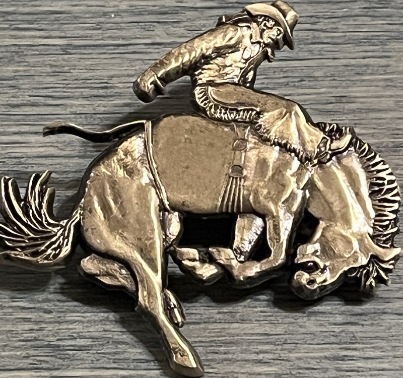Bronc Rider Western Americana Cowboy Clutch Back Pin - Ownership History N/A
