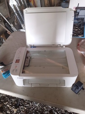 Canon Pixma PRO-100 Inkjet Color