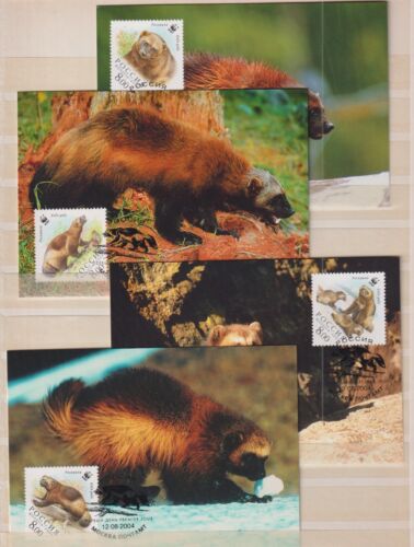 F1443- Russia / Rossija 2004 - Maxicard - Dieren / Animals  Bears  (WWF/WNF - Afbeelding 1 van 1