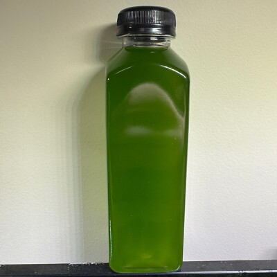 16oz LIVE Phytoplankton culture (Nannochloropsis)