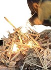 Bild 8 von 9