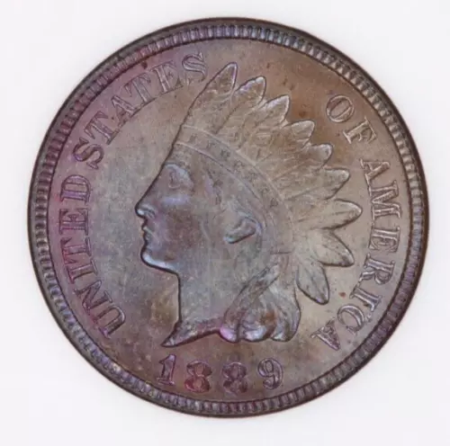 1889 Indian Head Cent 1c NGC - MS65 RB Monster color WOW!