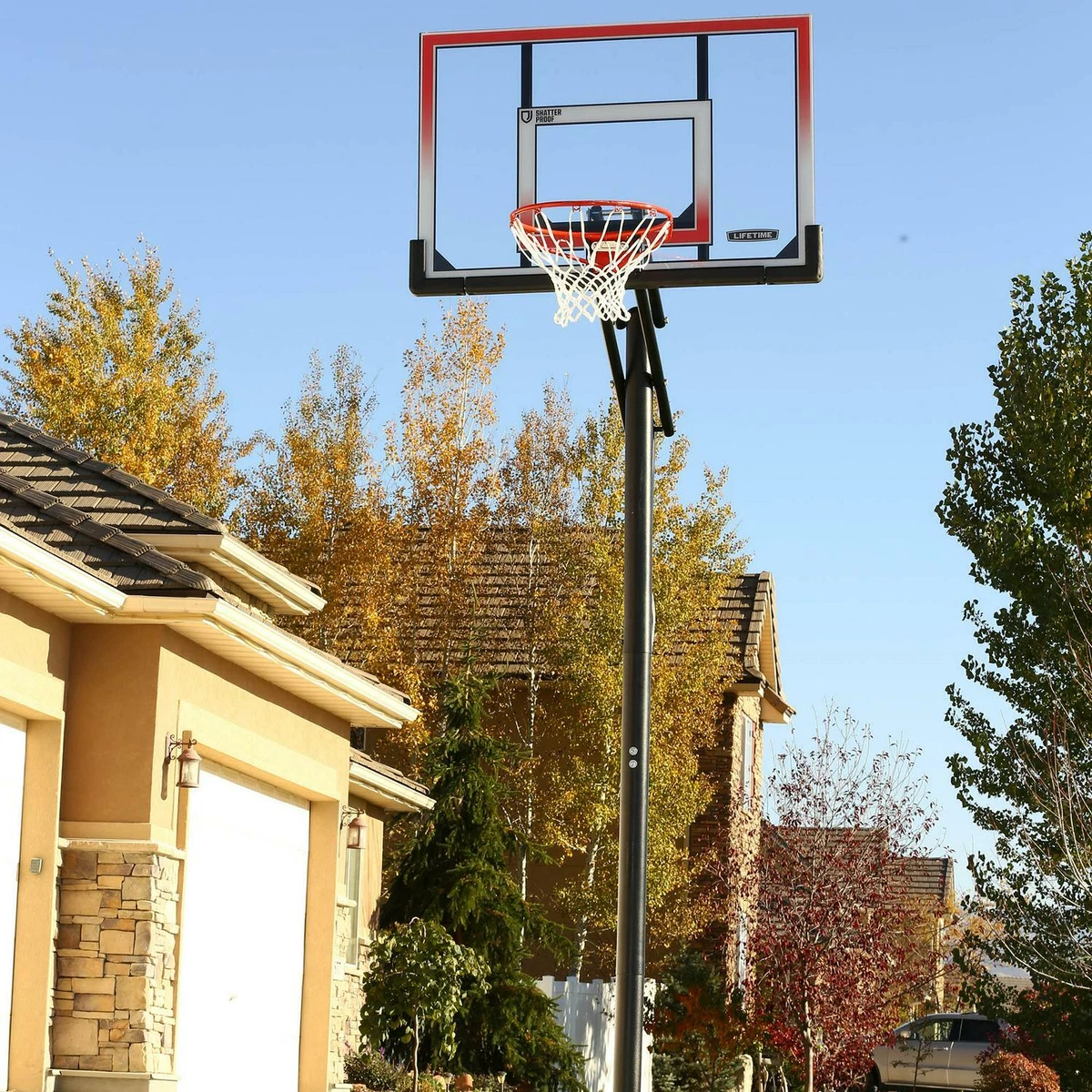 Lifetime Height Adjustable In-Ground Basketball Hoop (54 Polycarbonate  Backboard)