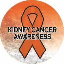 Kidney Cancer Awareness Ribbon Sparkle Vinyl Car Window Wall Sticker Decal Gift