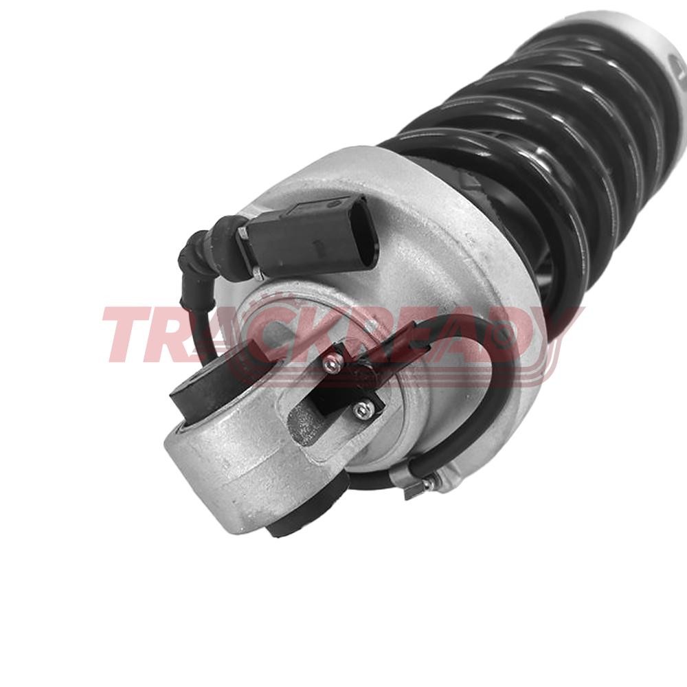 Audi R8 2014-2019 REAR+LEFT, RIGHT Air suspension strut P/N 95B413031G