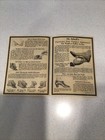 Vintage Dr Scholls Paper Advertisement — photo 3