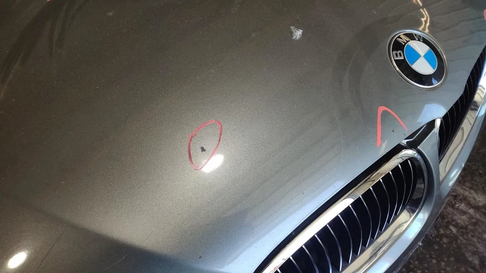 Trunk/Hatch/Tailgate Coupe Thru 3/09 Fits 07-09 BMW 328i 1058707 Foto 3 de 4