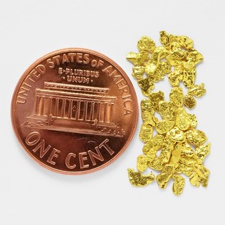 0.7834 Gram Alaska Natural Gold Nuggets (#80929 14) Alaskan Gold Nuggets