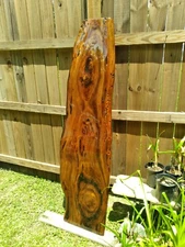 Old Growth Ancient Sinker Cypress Rare Burl Wood Slab Coffee Table FREE SHIPPING