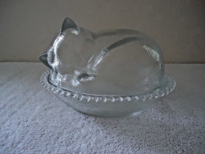 glass cat dish